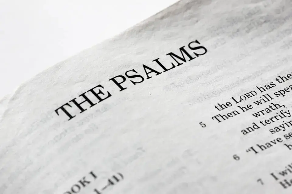 Psalm 11 Offers Solace Amidst Life's Turmoil