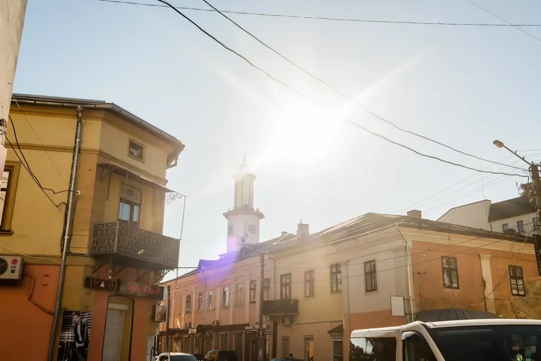 Sunshine Herb: A Spiritual Ally
