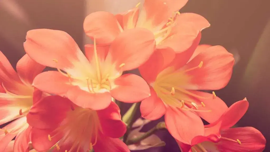September 2026 Energy Forecast: Virgo Insight, Libra Harmony, and the September 10 Alignment