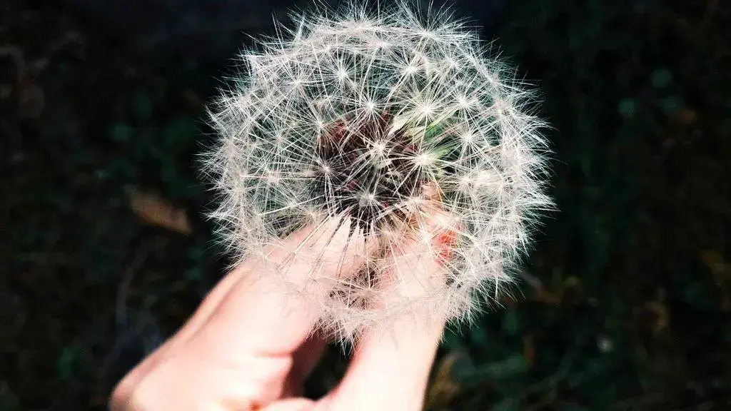 The Scorpio Moon Sharpens Virgo Season’s Focus